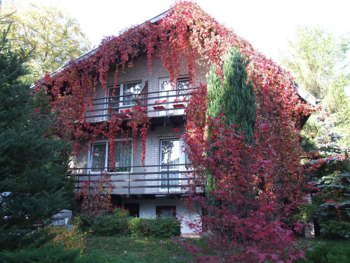 Pokoje I Apartamenty Przy Sosnowej Poddąbie Exterior foto